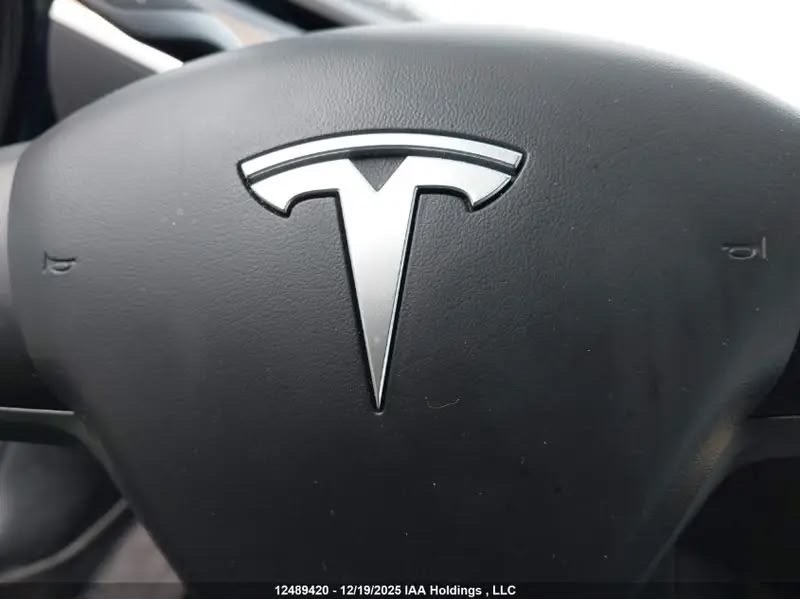 Car Image 2024 TESLA Model Y