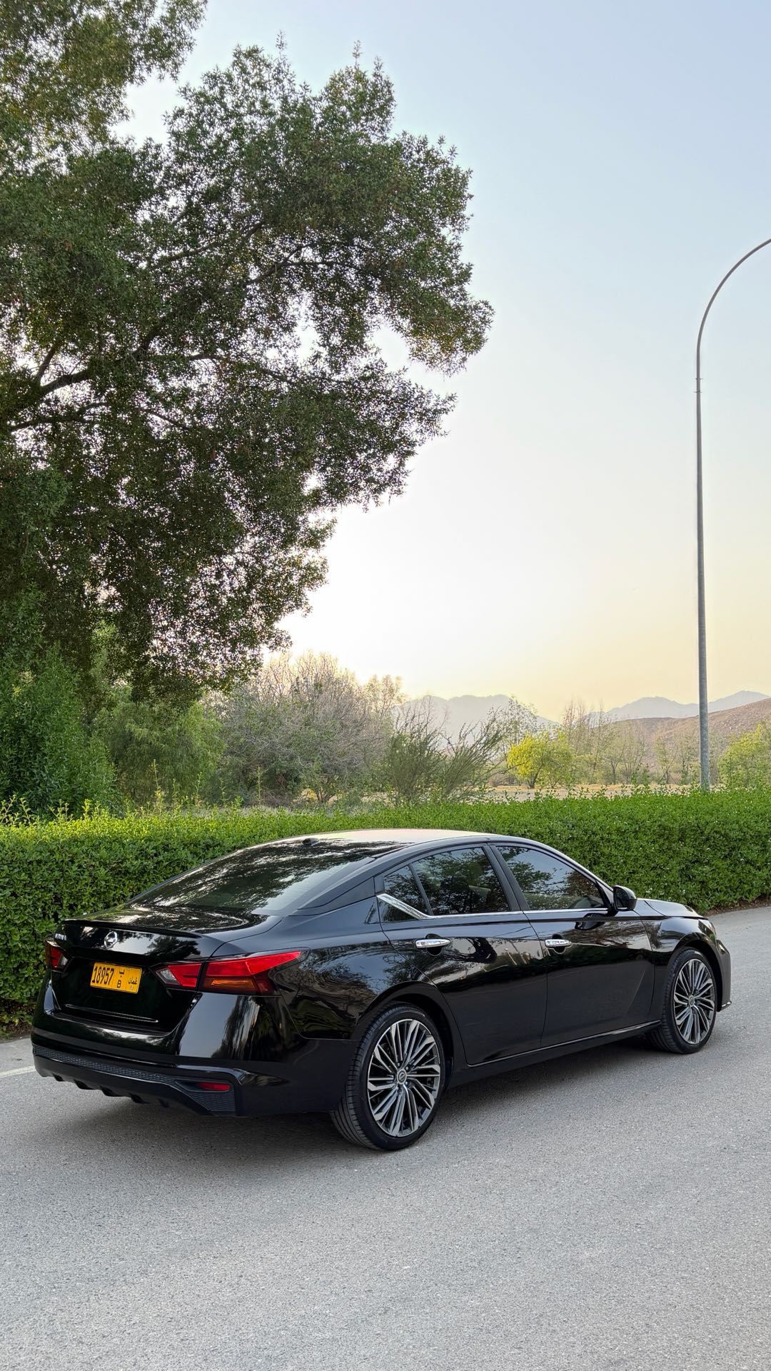 Car Image 2019 NISSAN ALTIMA S