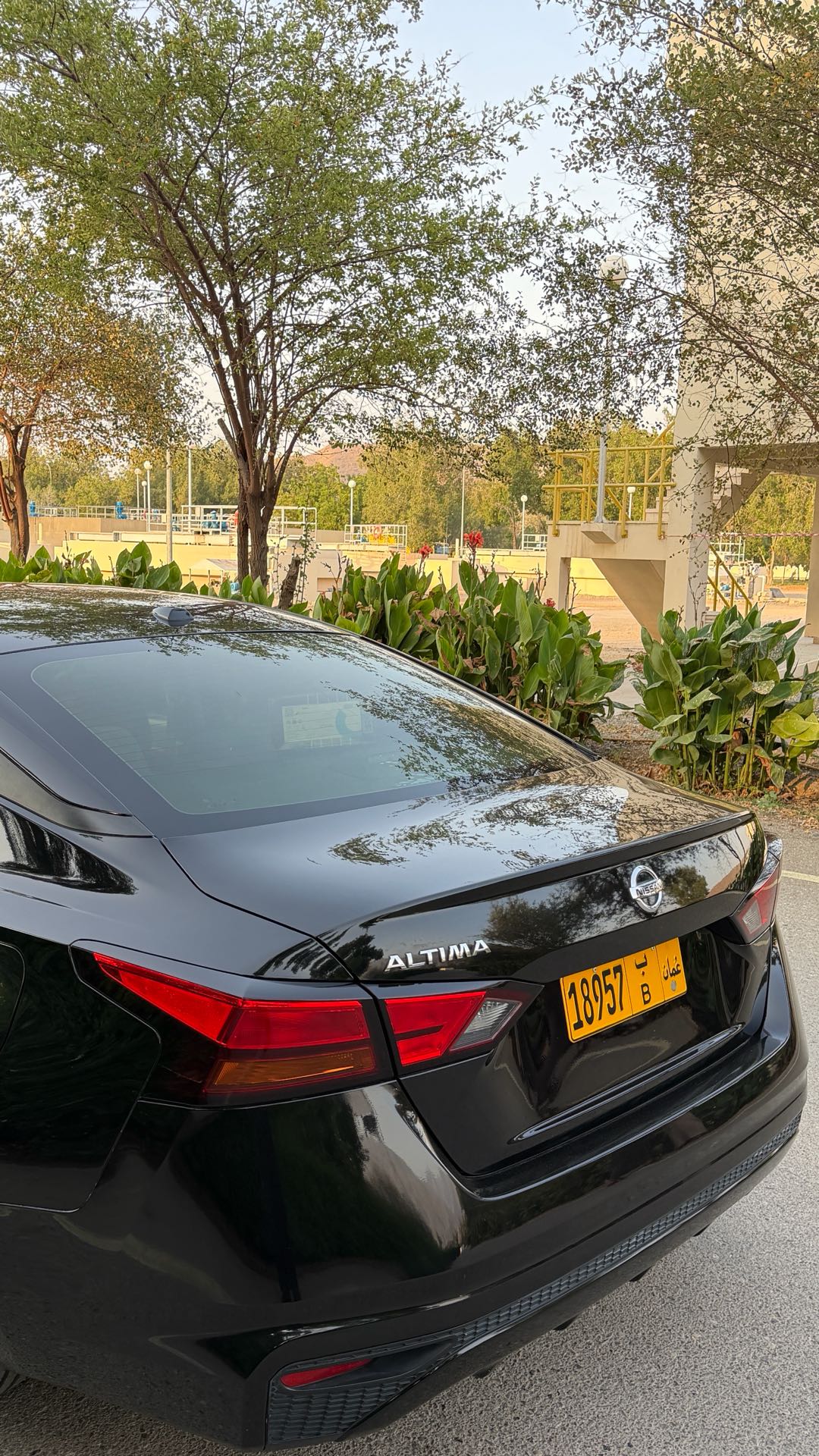 Car Image 2019 NISSAN ALTIMA S