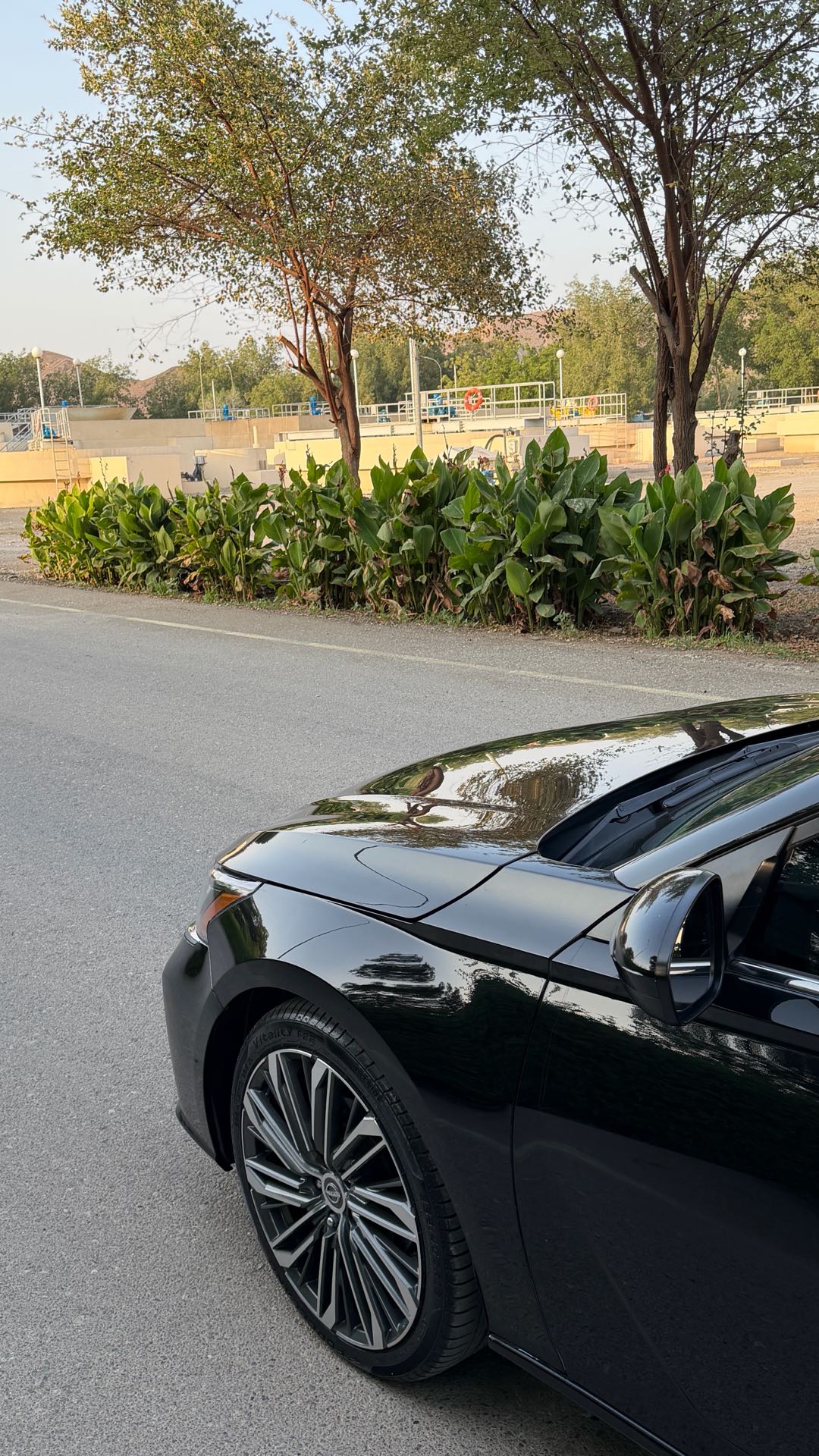 Car Image 2019 NISSAN ALTIMA S