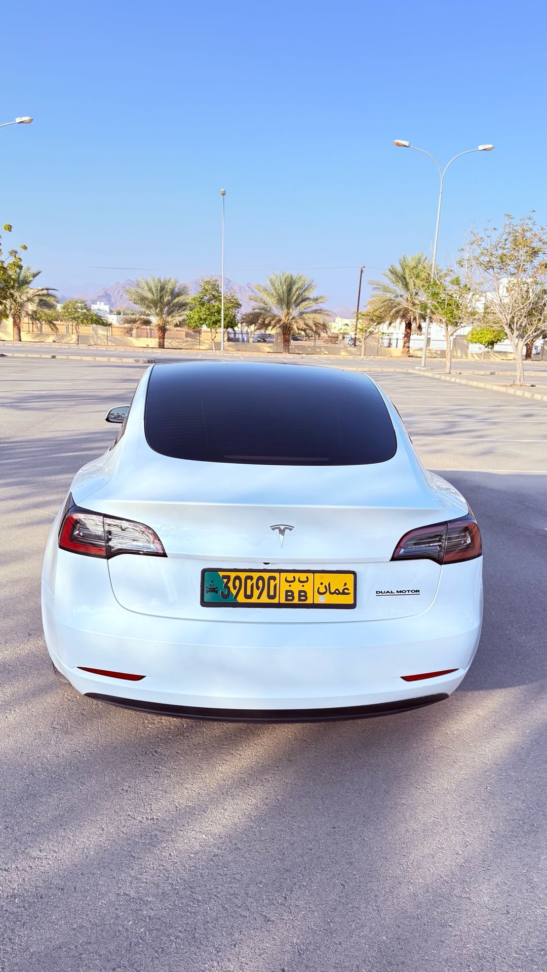 Car Image 2023 TESLA Model 3 Standard