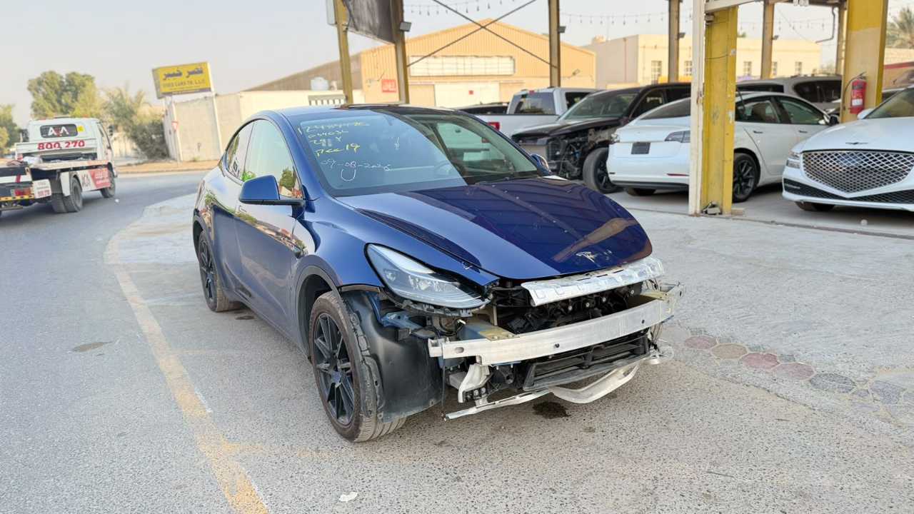Car Image 2024 TESLA Model Y