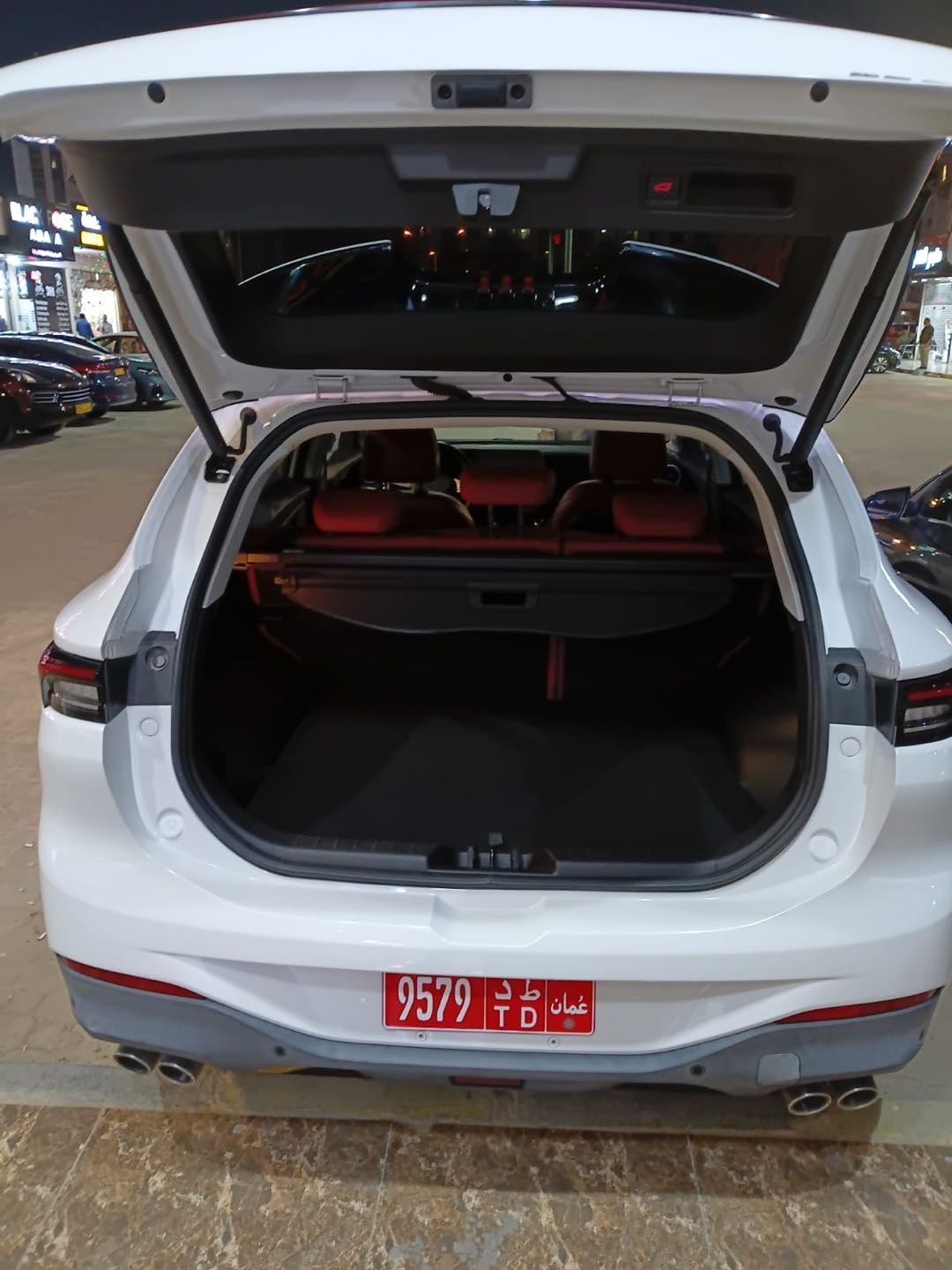 FORTHING T5 EVO 2025