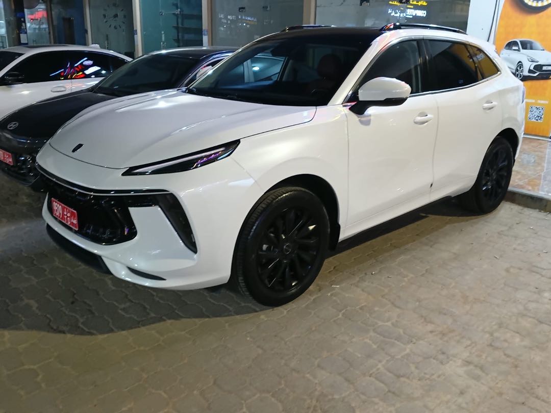 FORTHING T5 EVO 2025