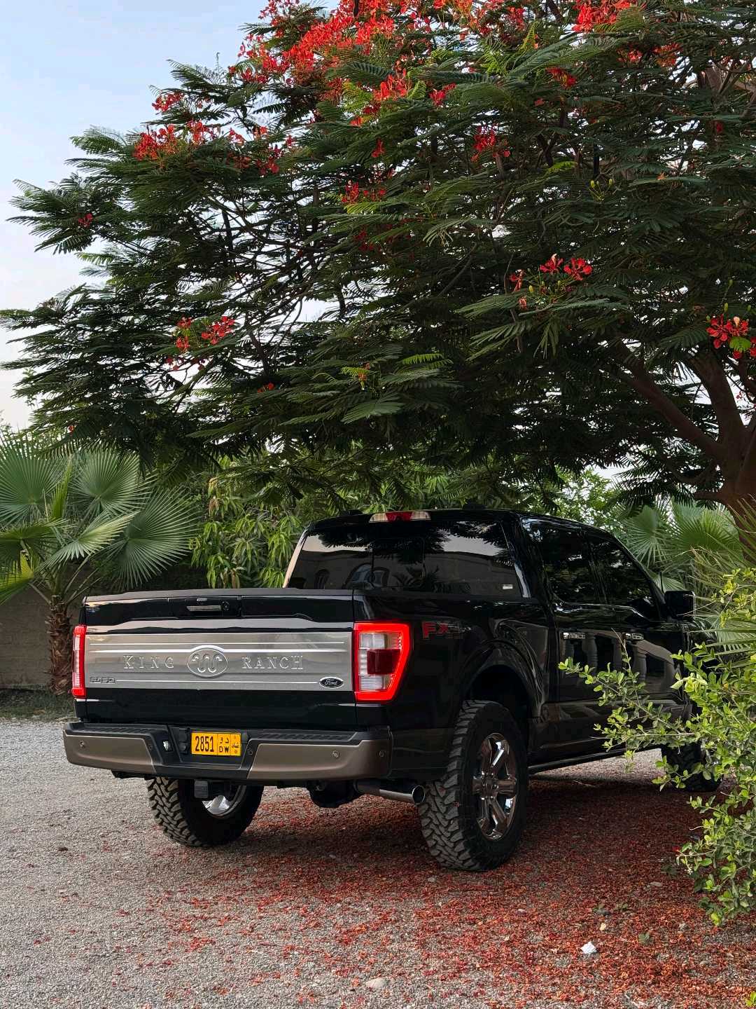 Car Image 2021 FORD F-150 Platinum