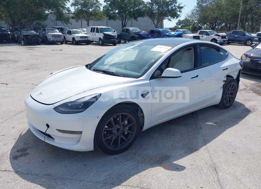 Car Image 2021 TESLA Model 3