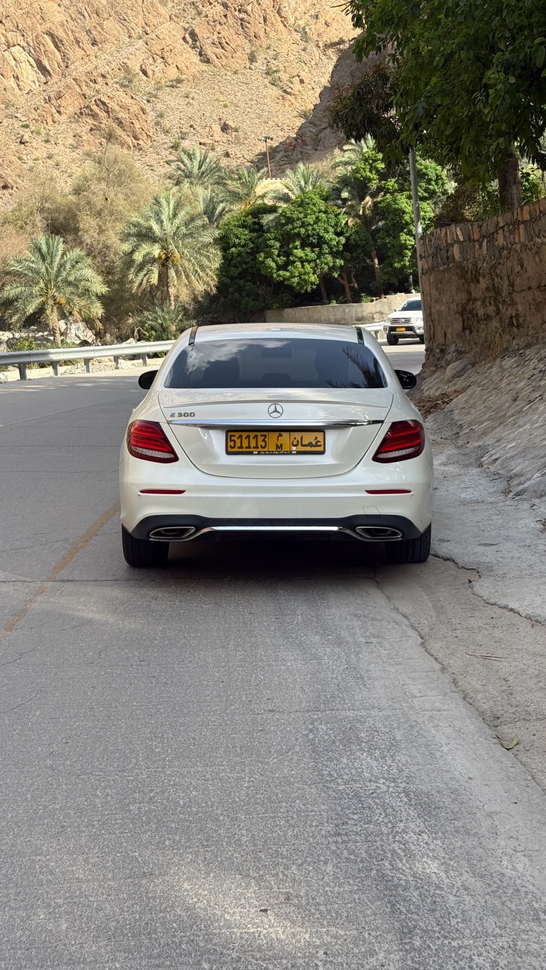 Car Image 2019 MERCEDES E Class 300