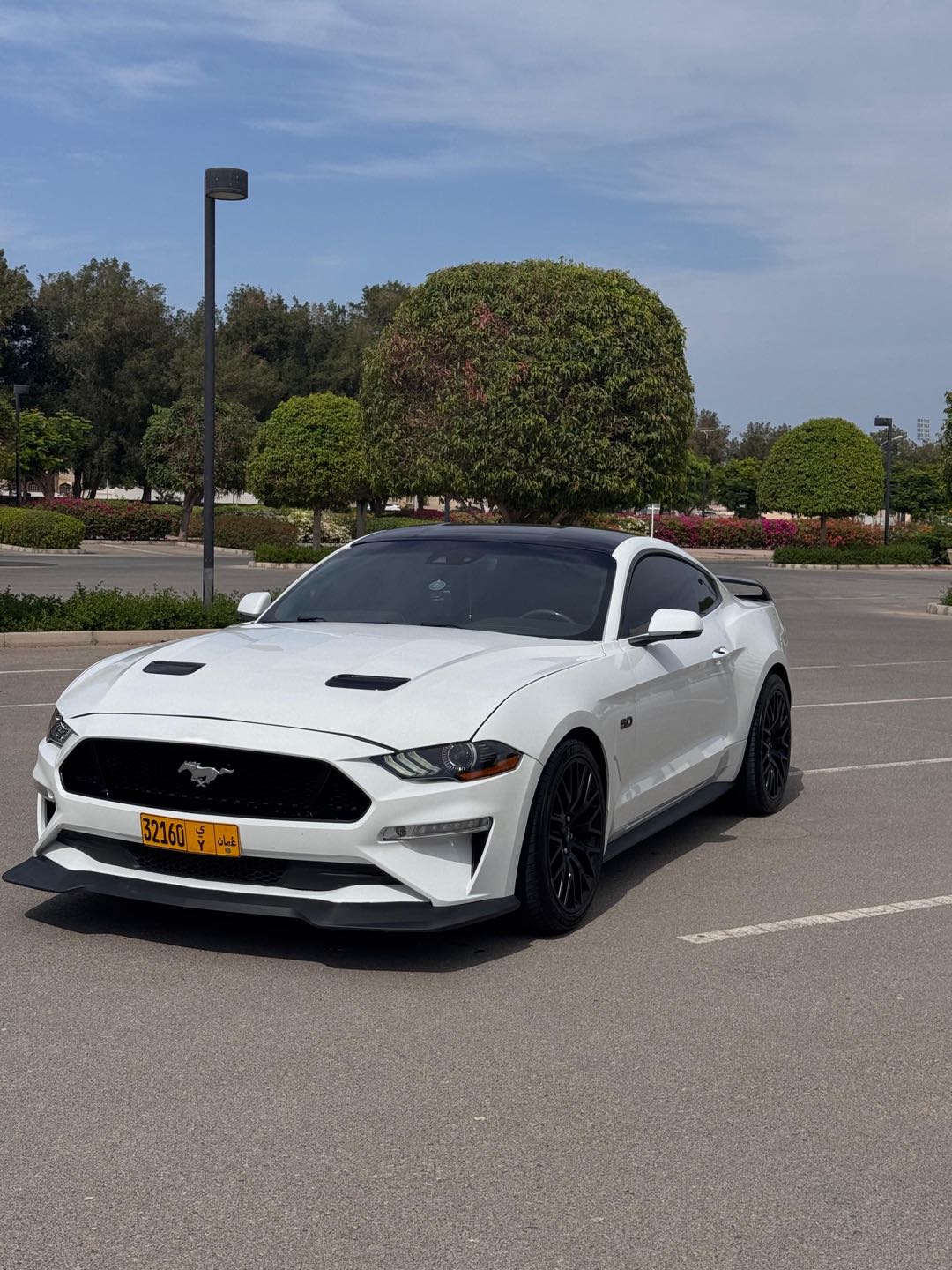 Car Image 2019 FORD MUSTANG GT