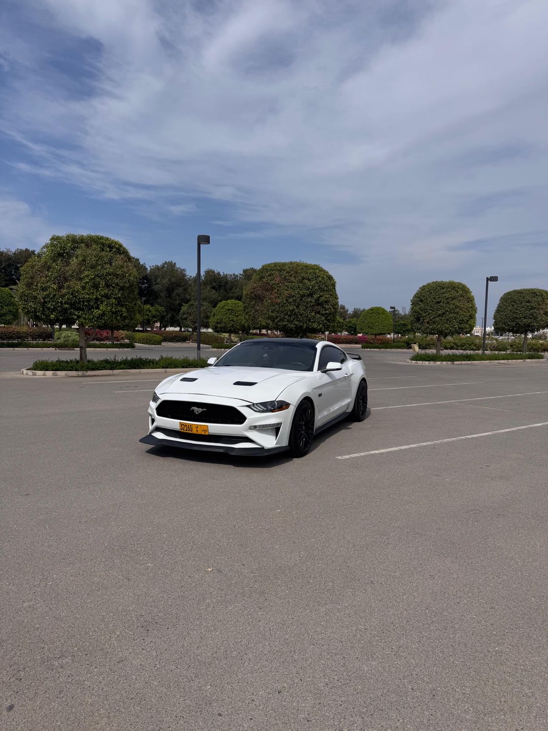 Car Image 2019 FORD MUSTANG GT