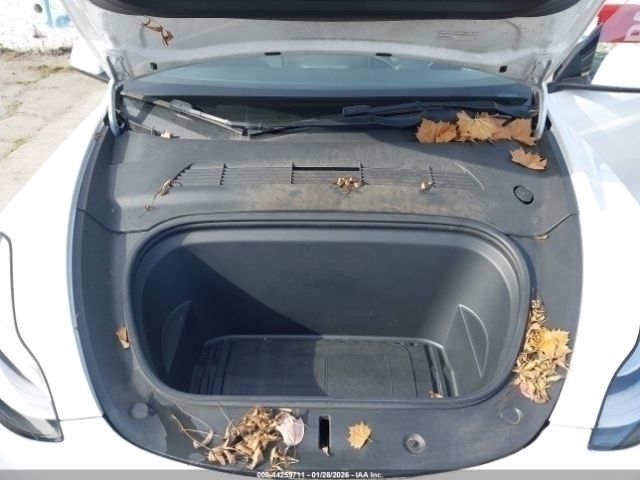 Car Image 2022 TESLA Model Y