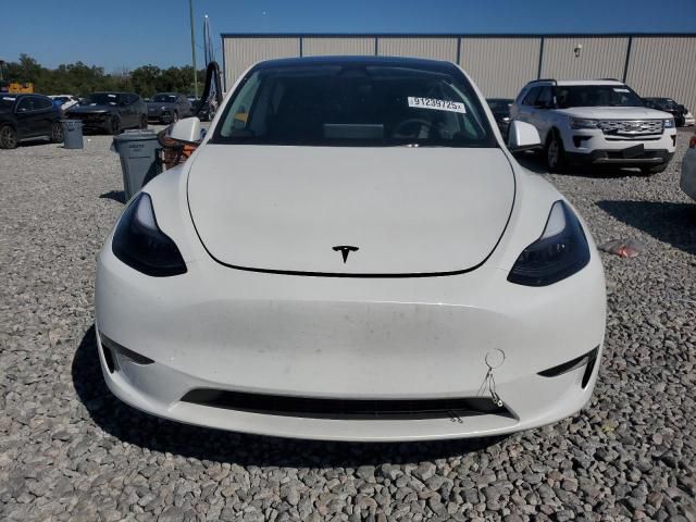 Car Image 2025 TESLA Model Y