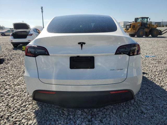 Car Image 2025 TESLA Model Y