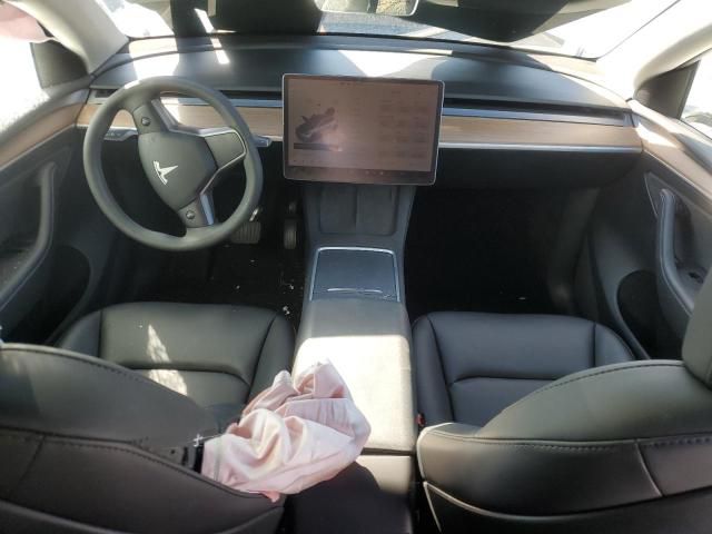 Car Image 2025 TESLA Model Y