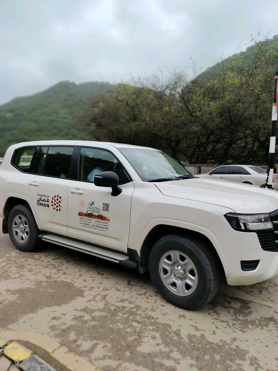 TOYOTA LAND CRUISER 2024