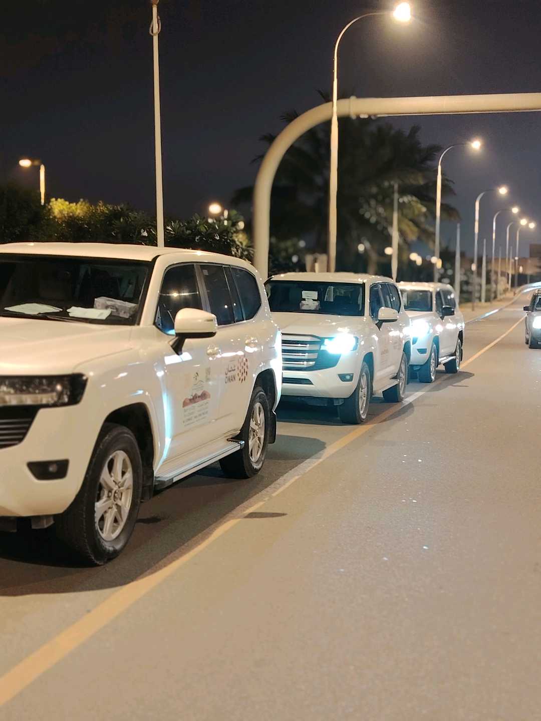 TOYOTA LAND CRUISER 2024