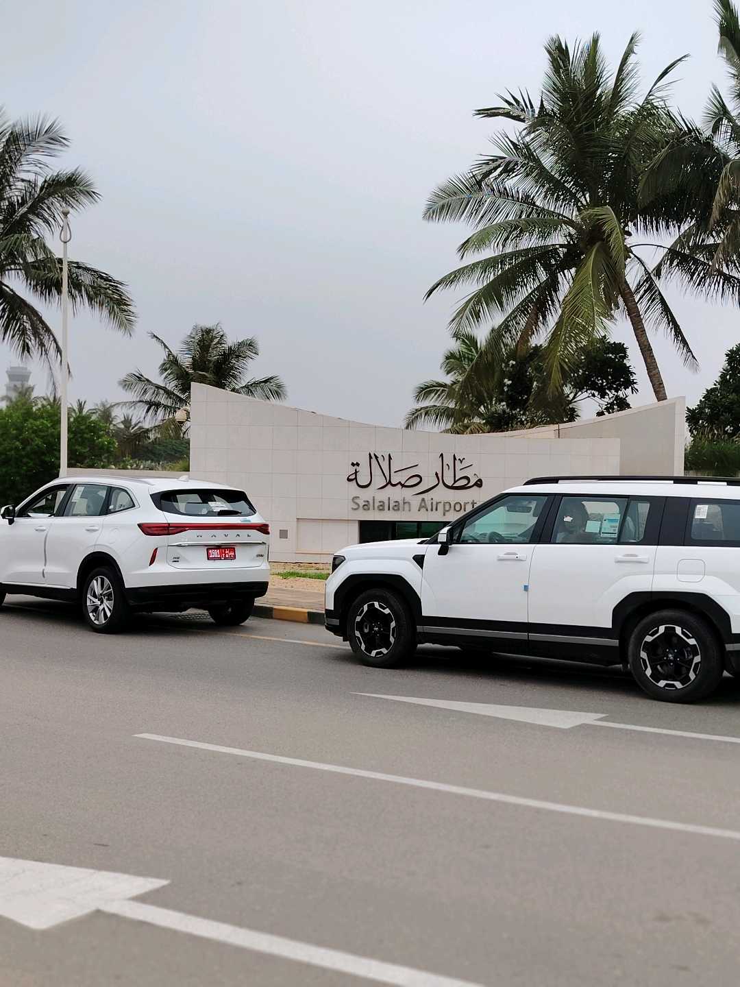 TOYOTA LAND CRUISER 2024