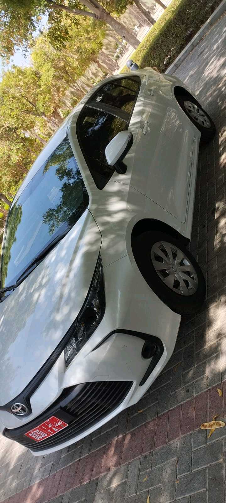 TOYOTA COROLLA 2025