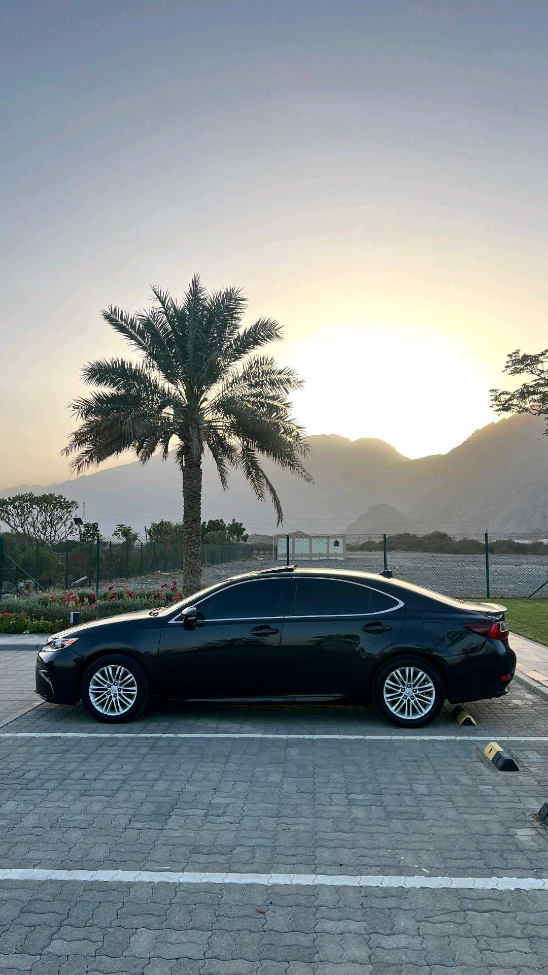Car Image 2017 LEXUS ES 350