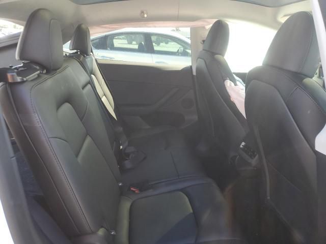 Car Image 2025 TESLA Model Y
