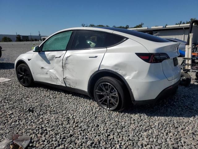 Car Image 2025 TESLA Model Y