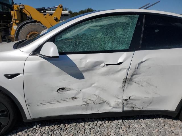 Car Image 2025 TESLA Model Y