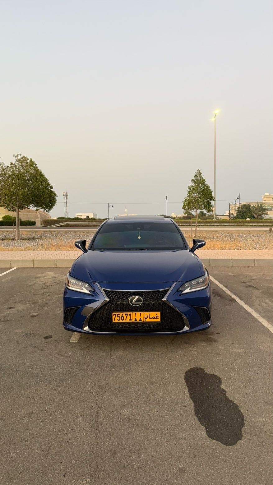 Car Image 2019 LEXUS ES F-sport