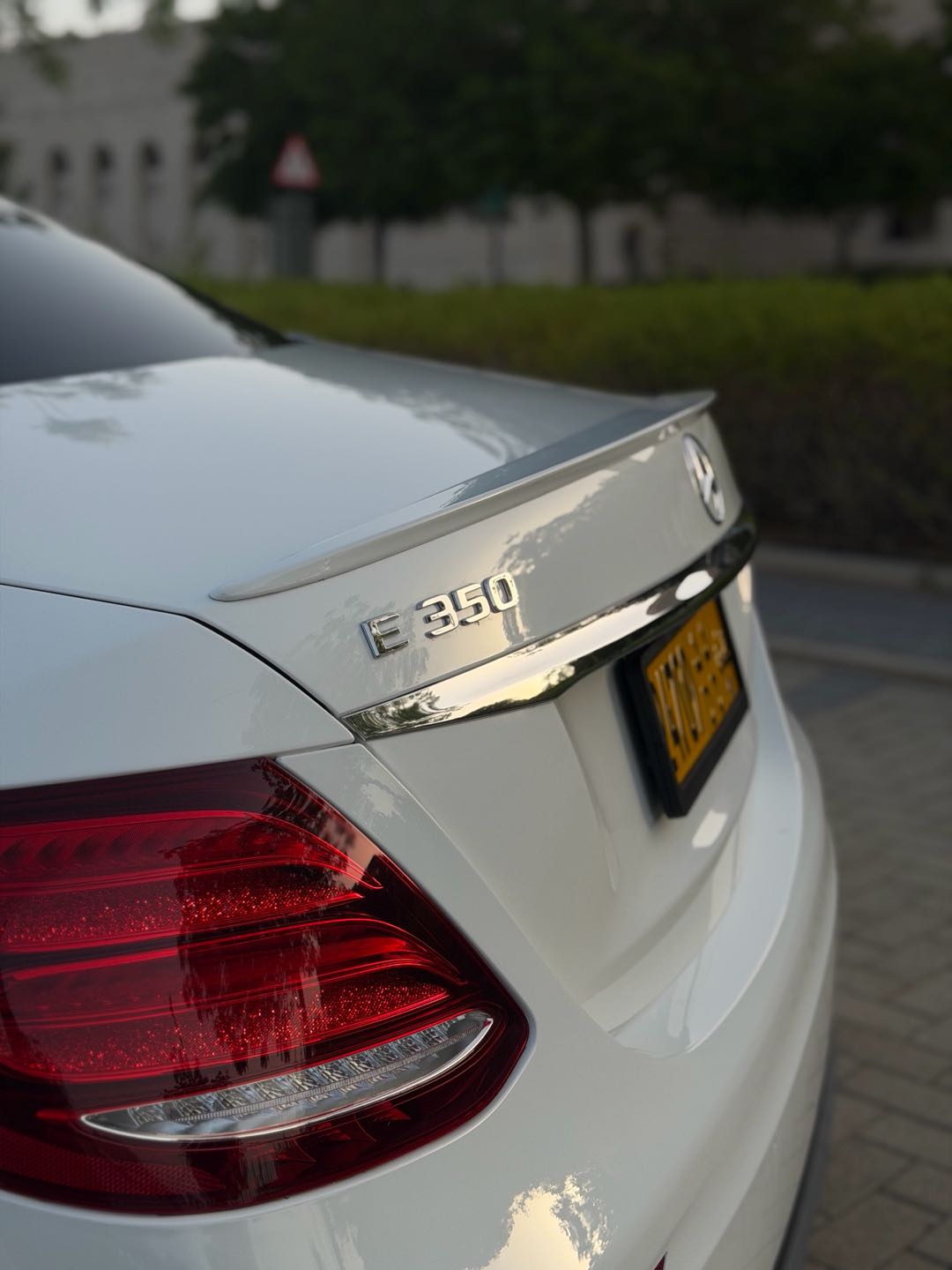 Car Image 2019 MERCEDES E Class 350