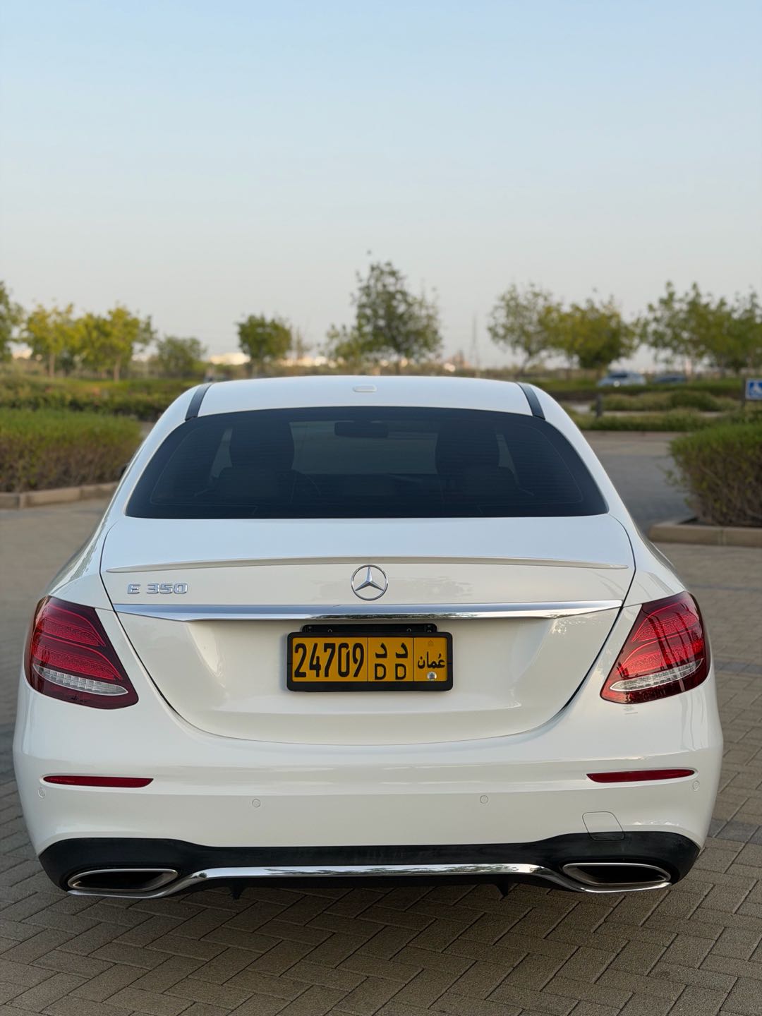Car Image 2019 MERCEDES E Class 350