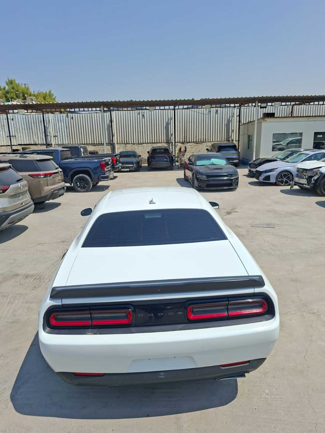 Car Image 2023 DODGE CHALLENGER