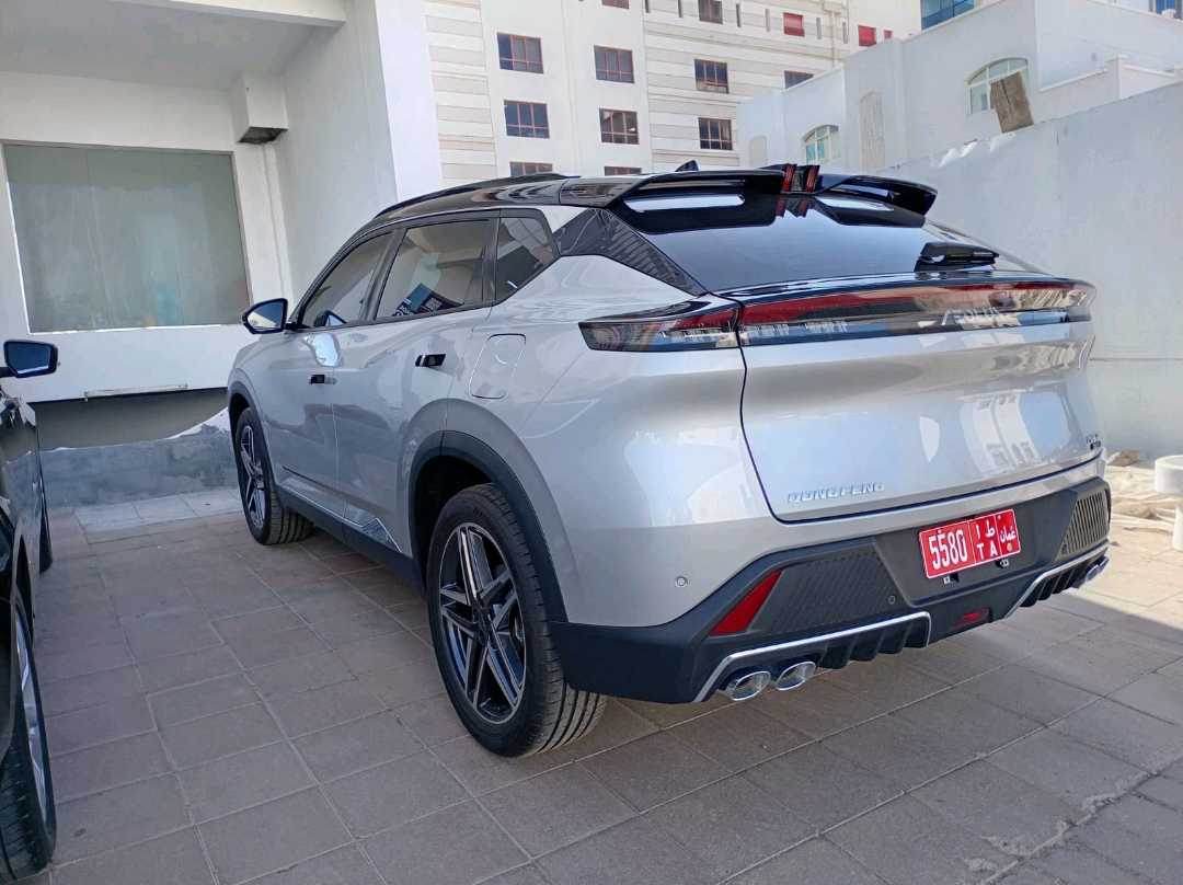 دونغفنغ IX5 2026