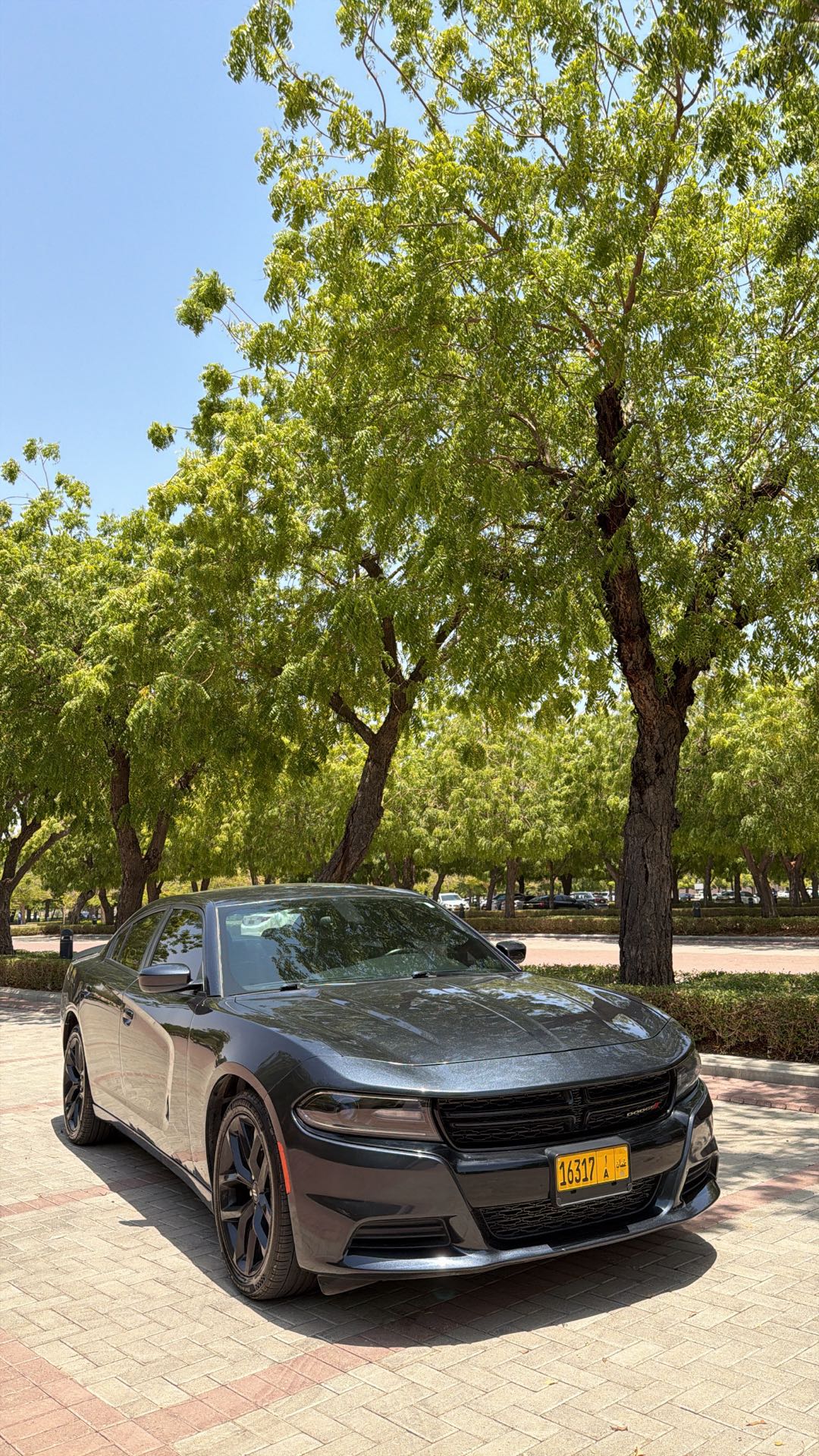 Car Image 2019 DODGE CHARGER SXT