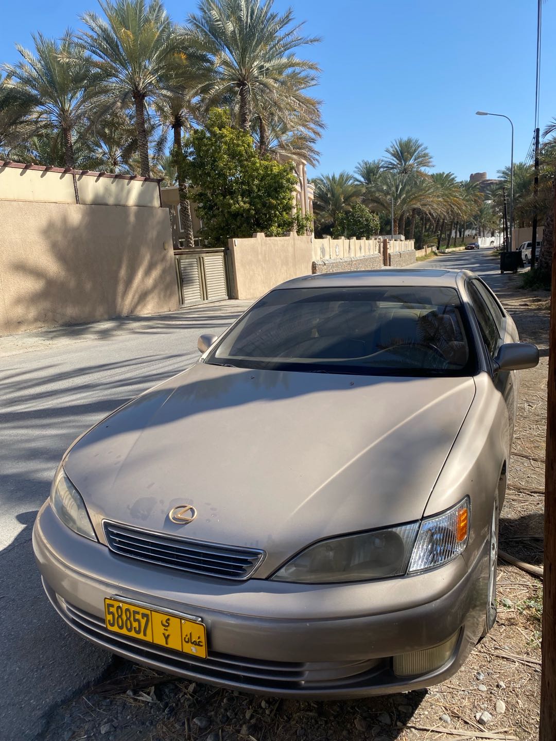 Car Image 1999 LEXUS ES 300