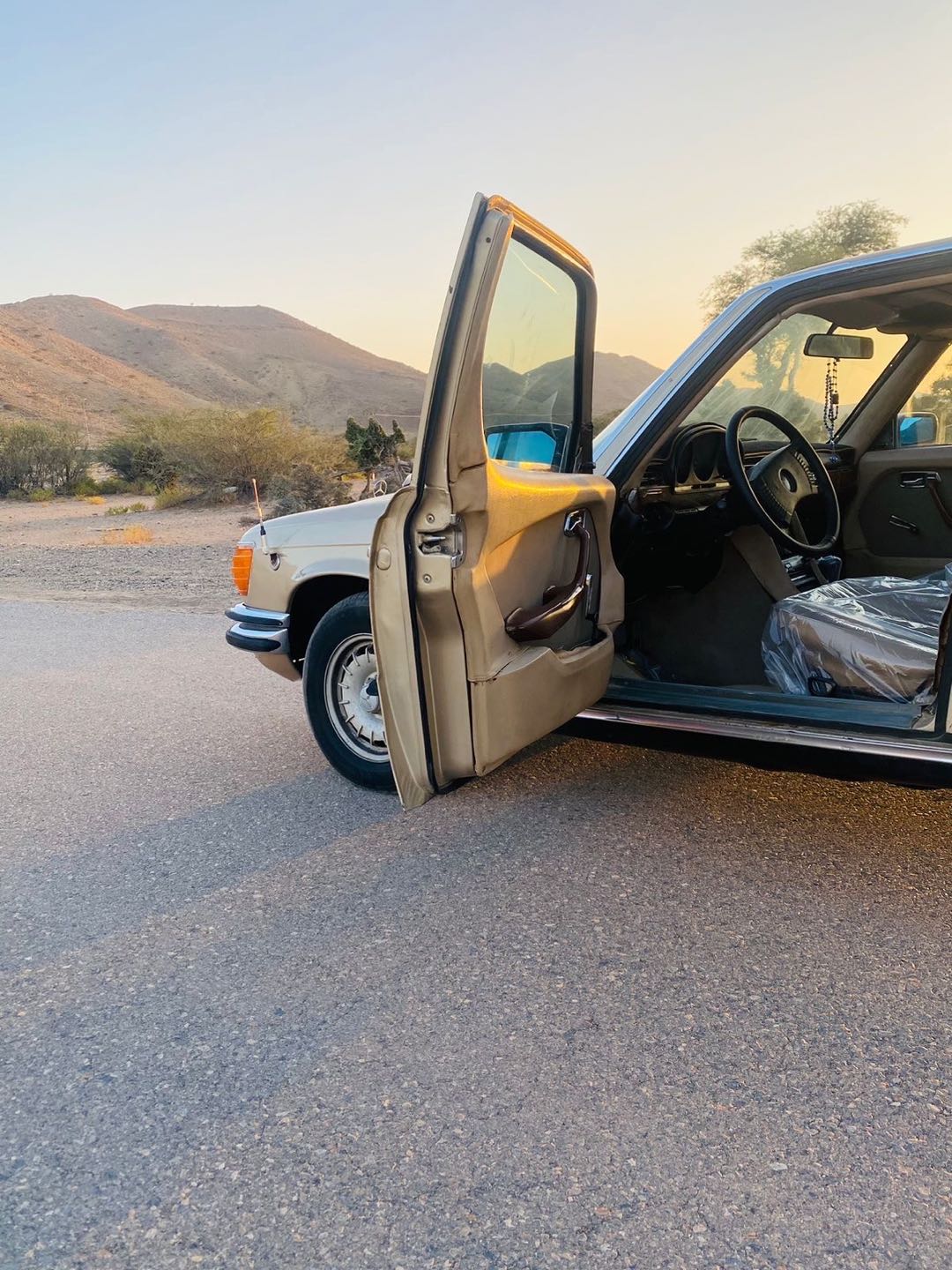 Car Image 1976 MERCEDES S Class 280