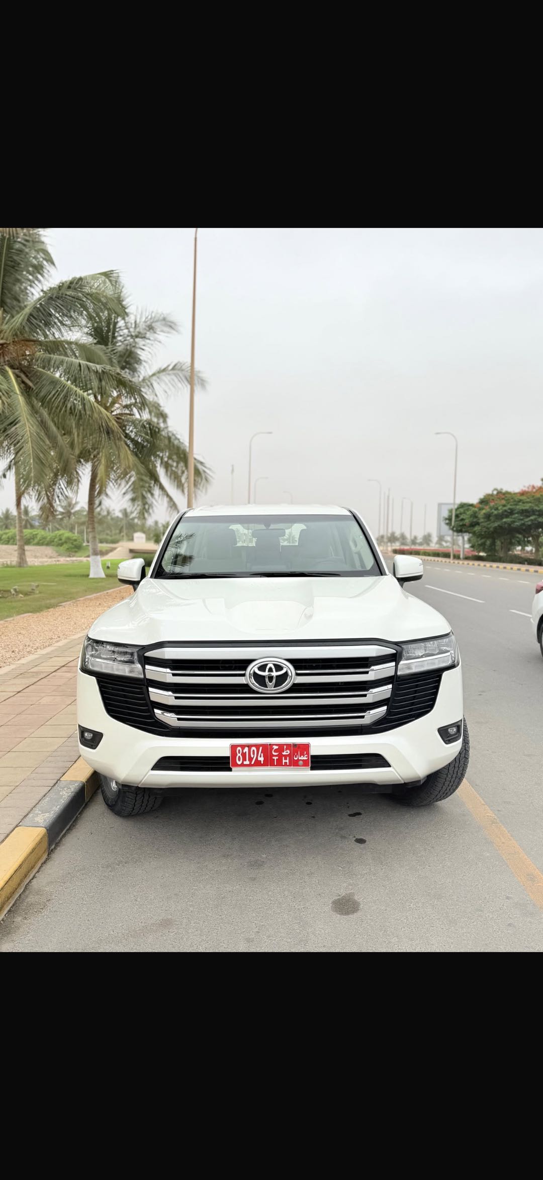 TOYOTA LAND CRUISER 2024