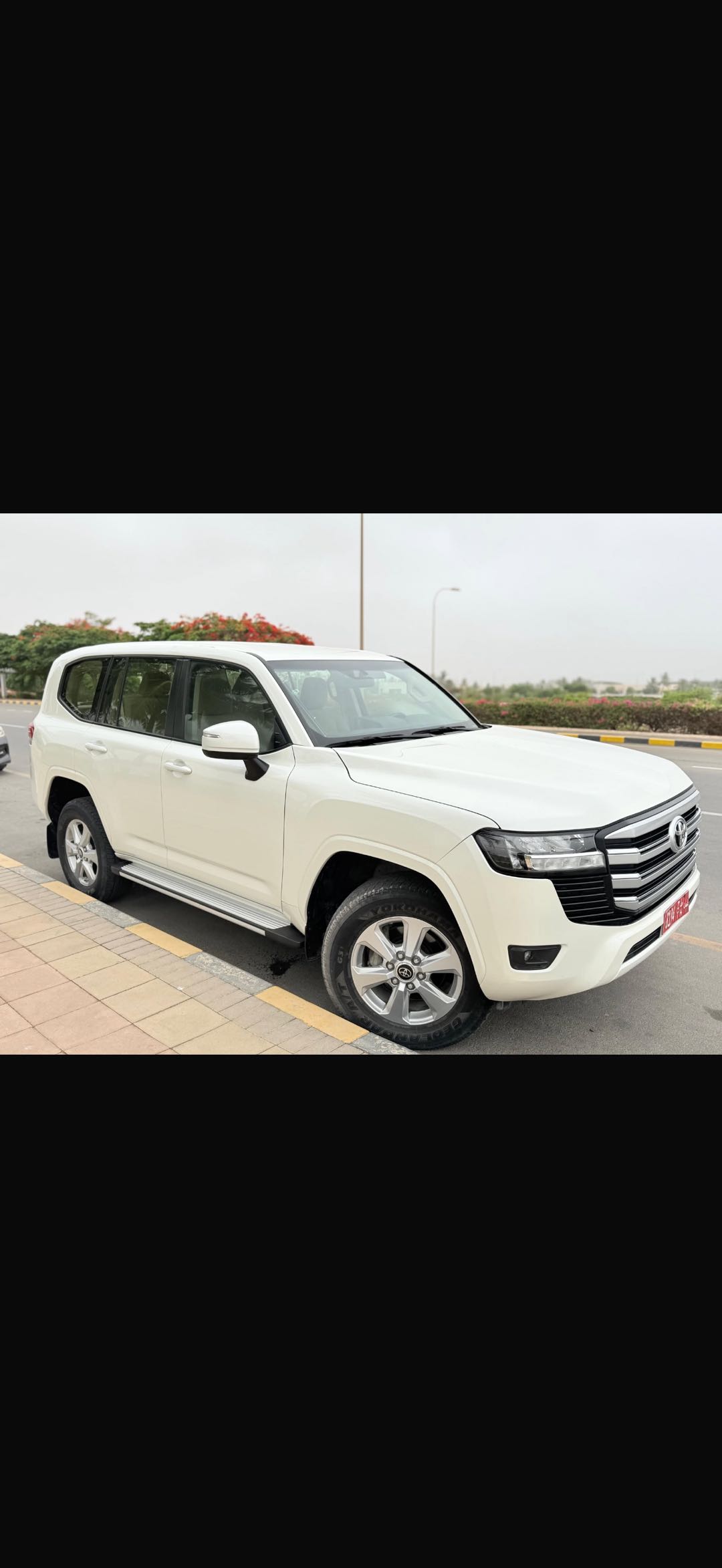 TOYOTA LAND CRUISER 2024