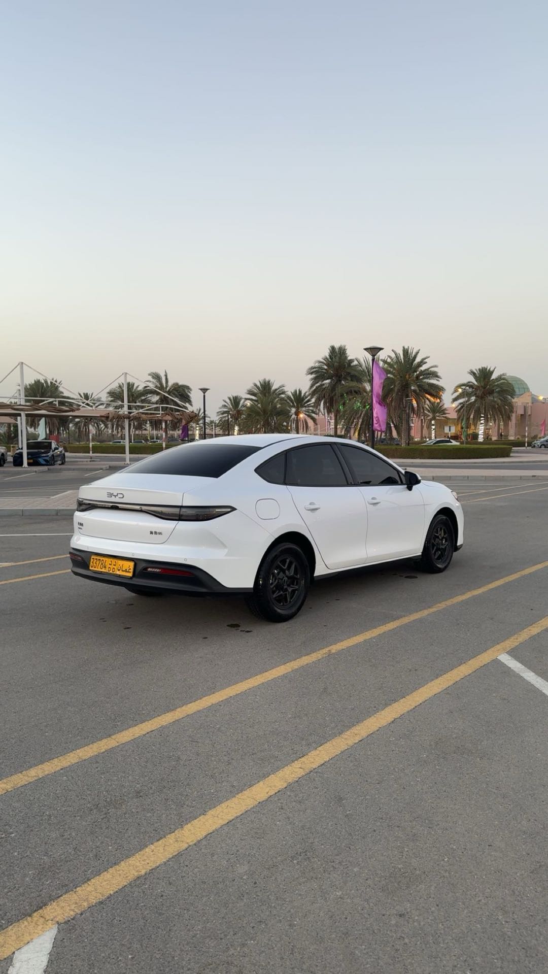BYD ديستروير 05 2025