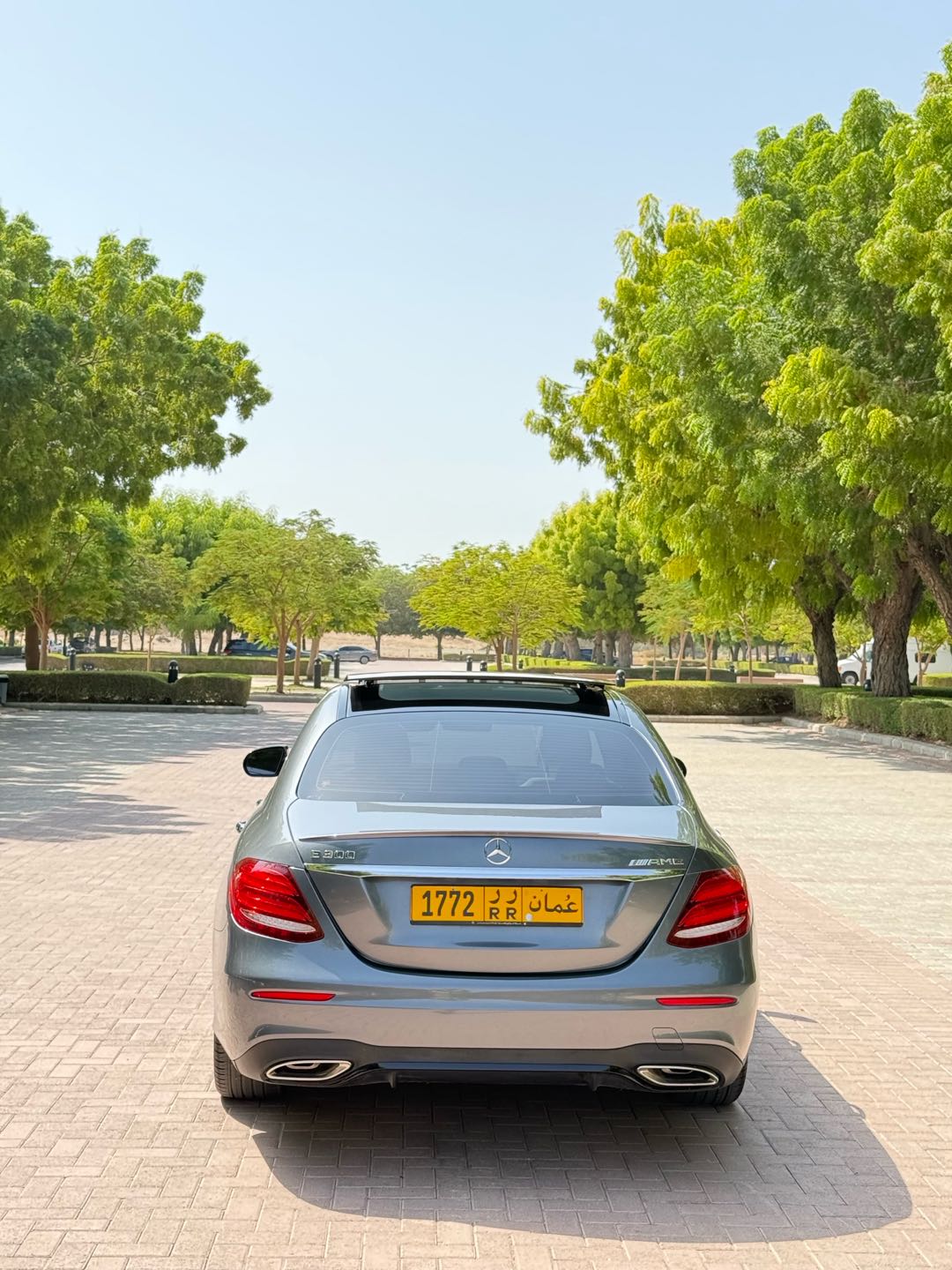 Car Image 2019 MERCEDES E Class 300