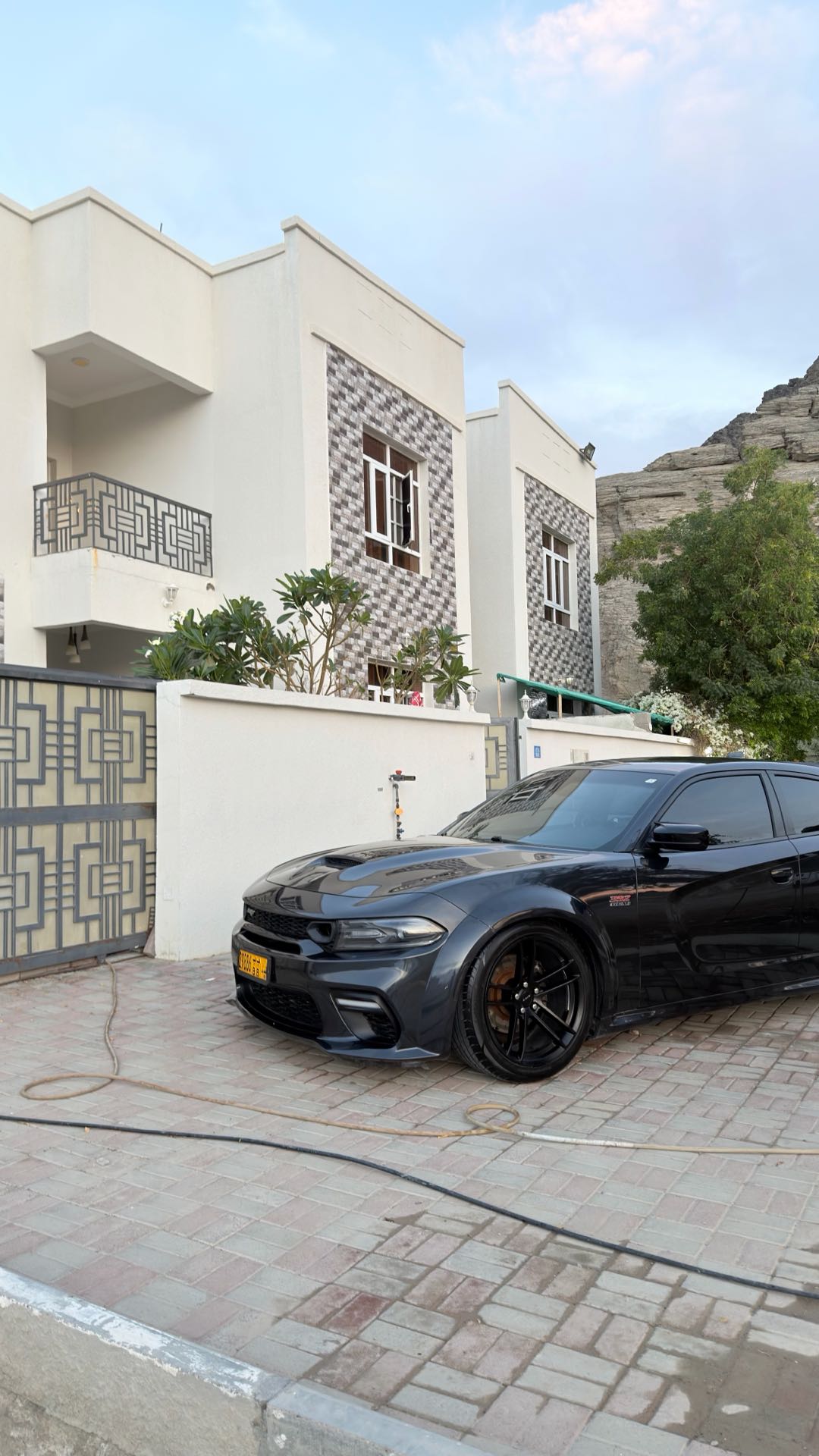 Car Image 2019 DODGE CHARGER R/T