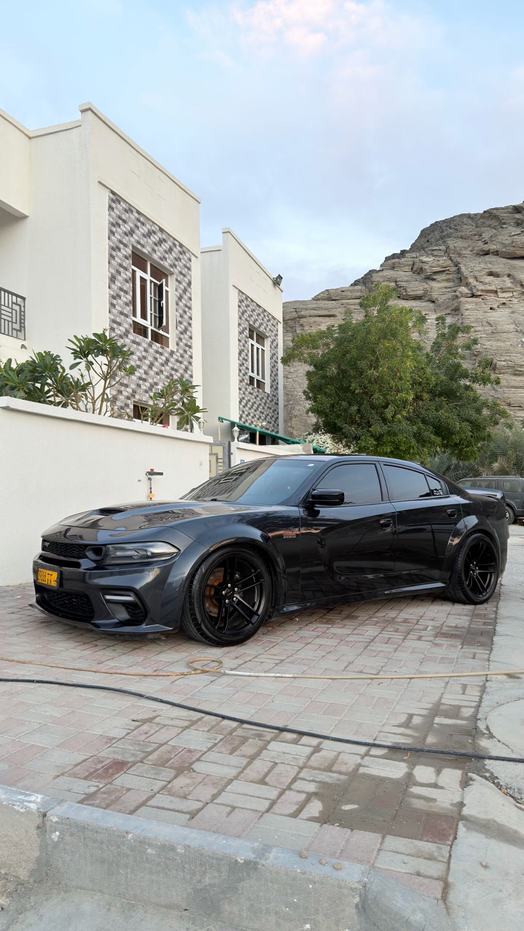 Car Image 2019 DODGE CHARGER R/T