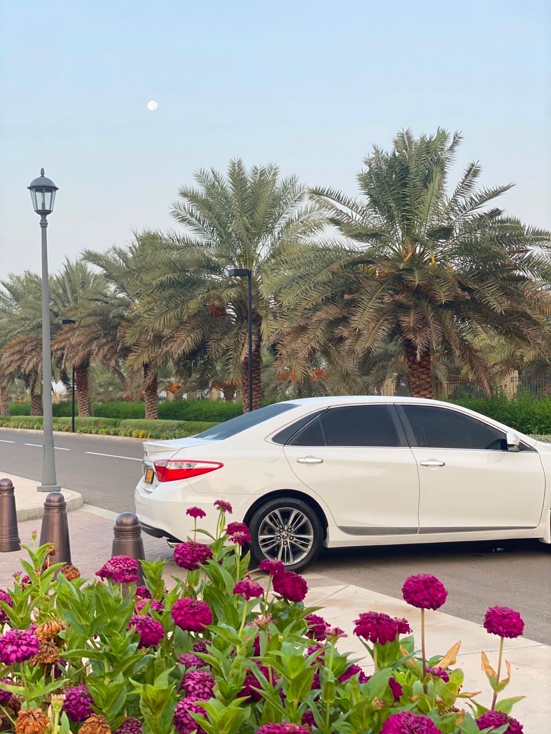 TOYOTA CAMRY SE 2016