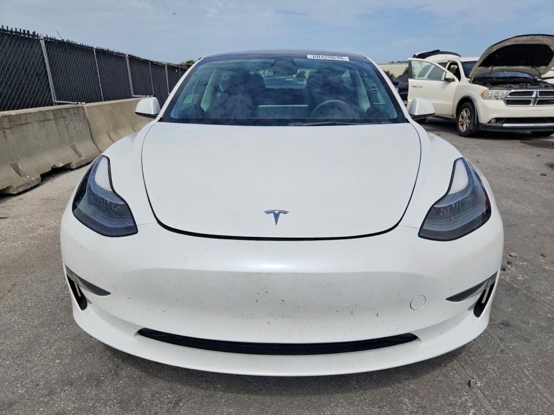 Car Image 2023 TESLA Model 3