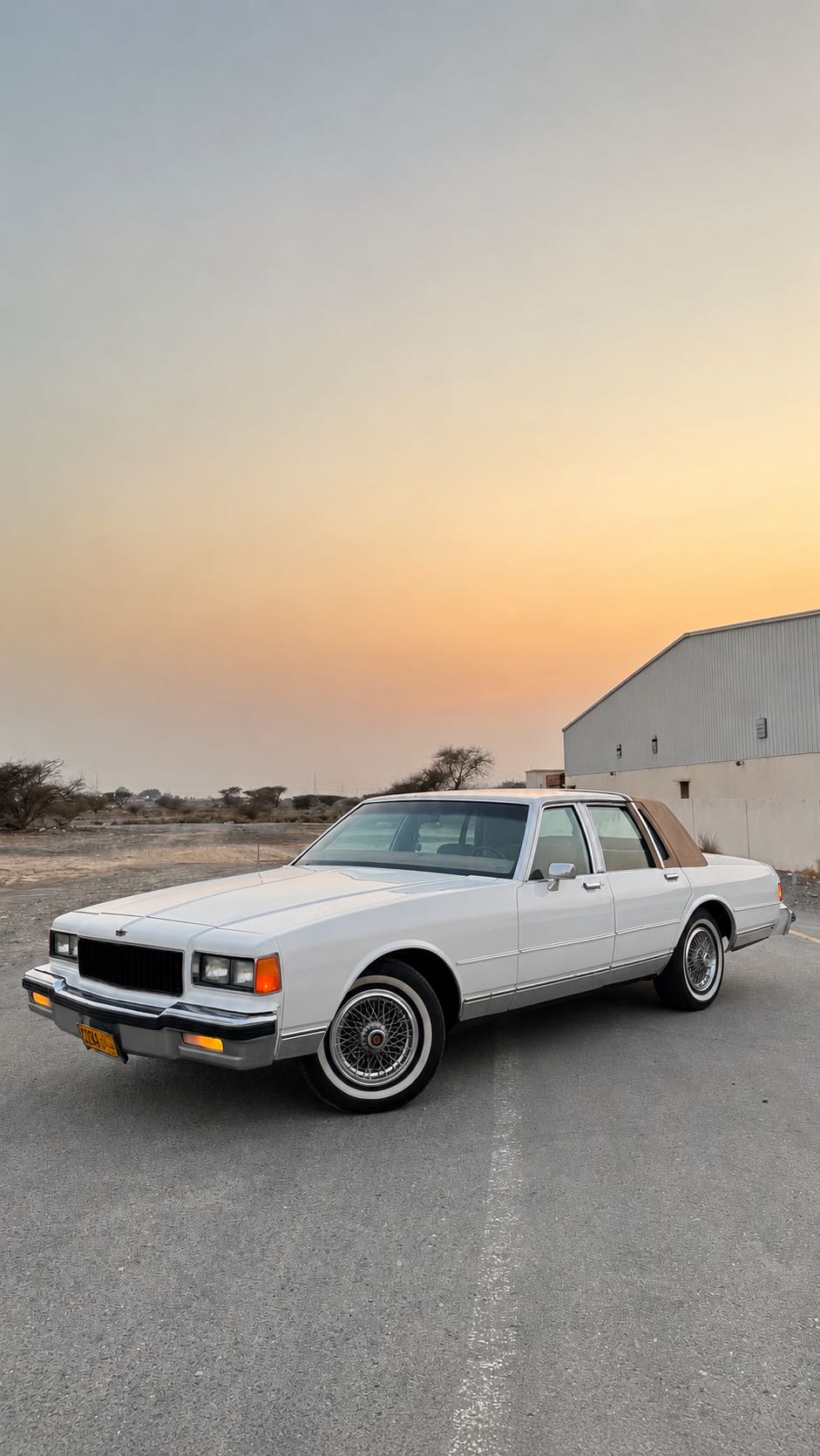 Car Image 1989 CHEVROLET CAPRICE 
