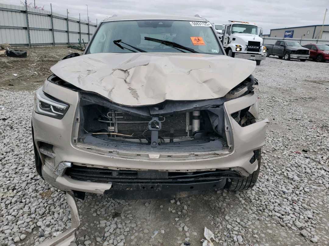 Car Image 2019 INFINITI QX80