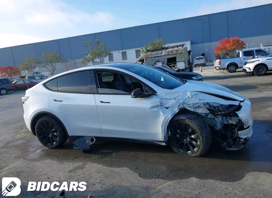 Car Image 2022 TESLA Model Y