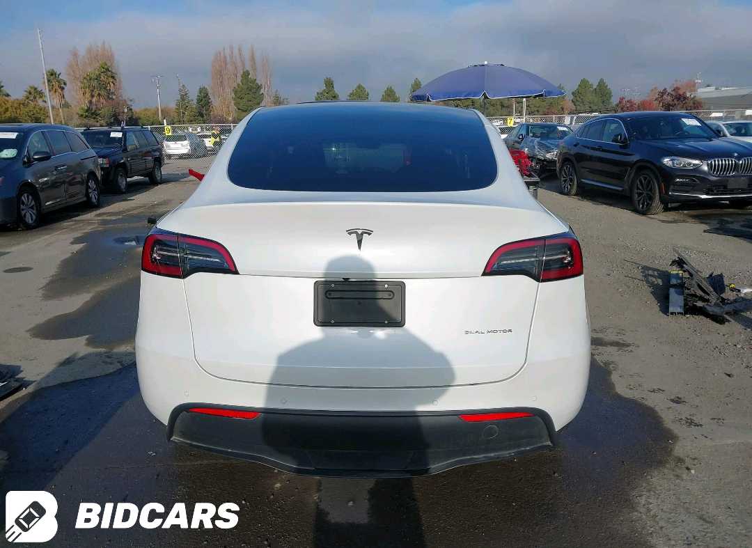 Car Image 2022 TESLA Model Y