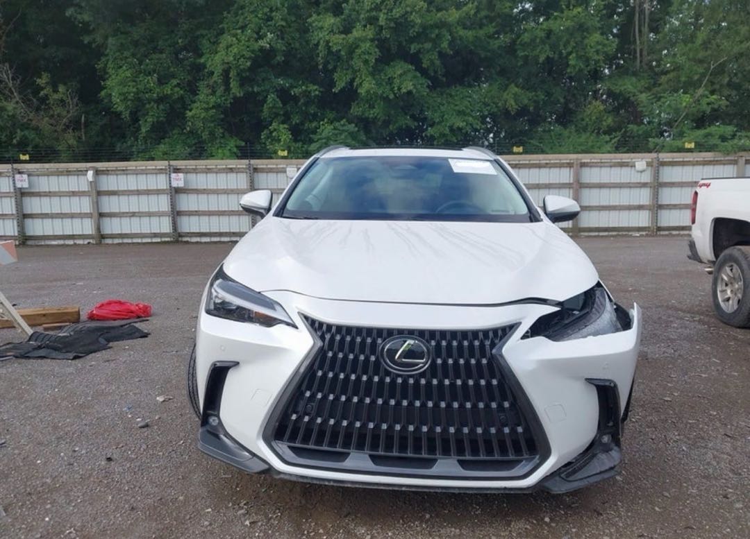 Car Image 2025 LEXUS NX
