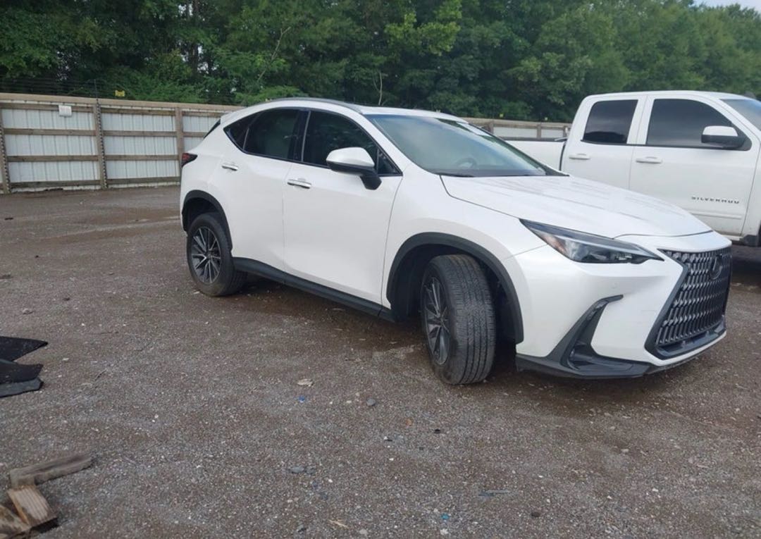 Car Image 2025 LEXUS NX