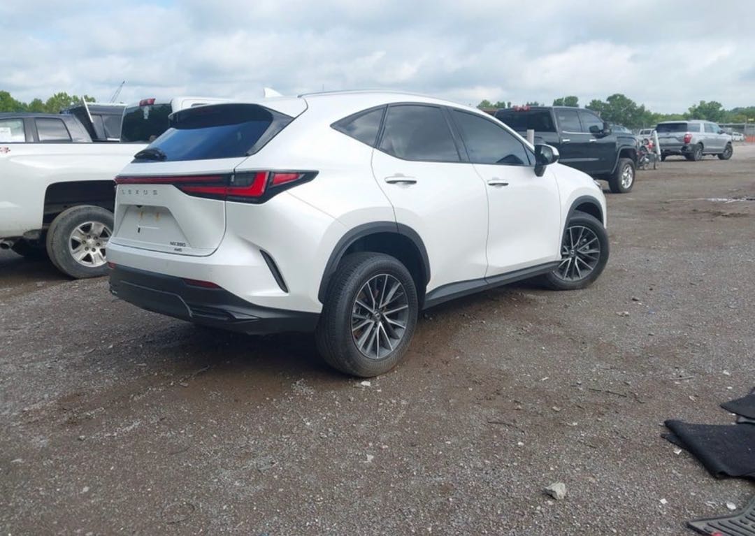 Car Image 2025 LEXUS NX
