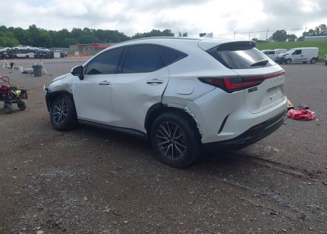 Car Image 2025 LEXUS NX
