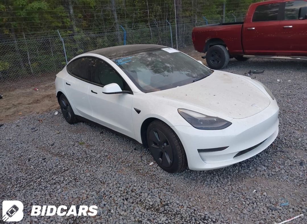 Car Image 2023 TESLA Model 3